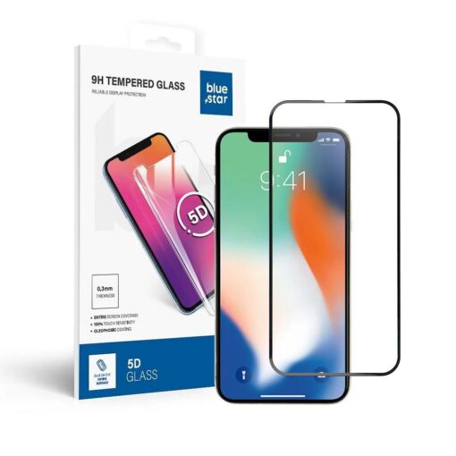 Panzerglas Blue Star 5D - APP IPHO X (full glue) schwarz