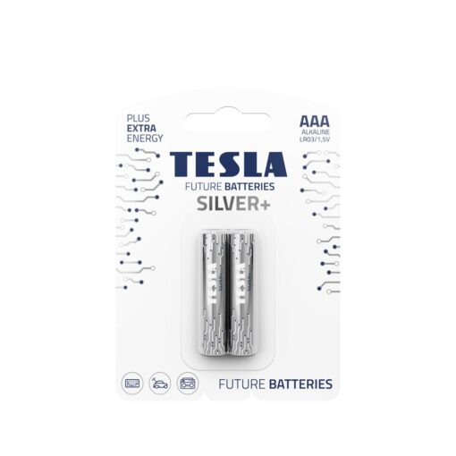 TESLA Alkalibatterie R3 (AAA) SILBER+ [2x120] 2 Stück