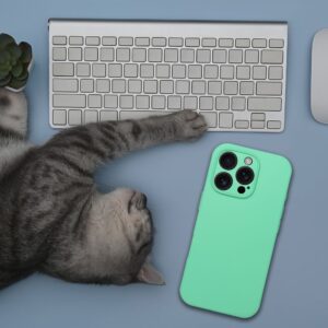 SILICONE 2mm kompatibel mit MagSafe Handyhülle für IPHONE 17 Pro in Mint