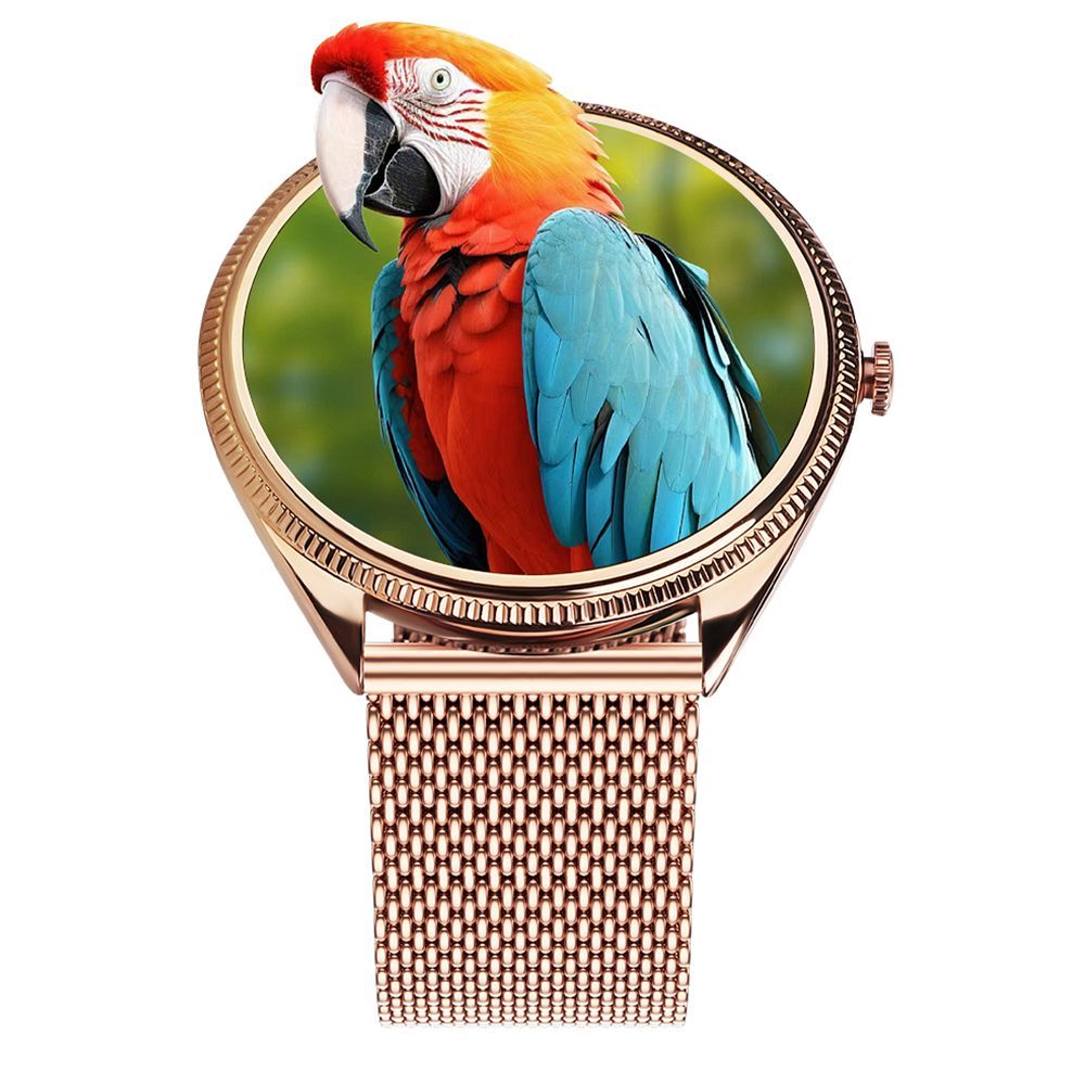 Smartwatch TITMO O-170 (AMOLED, Bluetooth-Anrufe, goldfarbenes Edelstahl-Mesh-Armband) gold – Bild 12